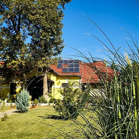 شقة Harmonia Apartmanhaz بالاتوليلّي